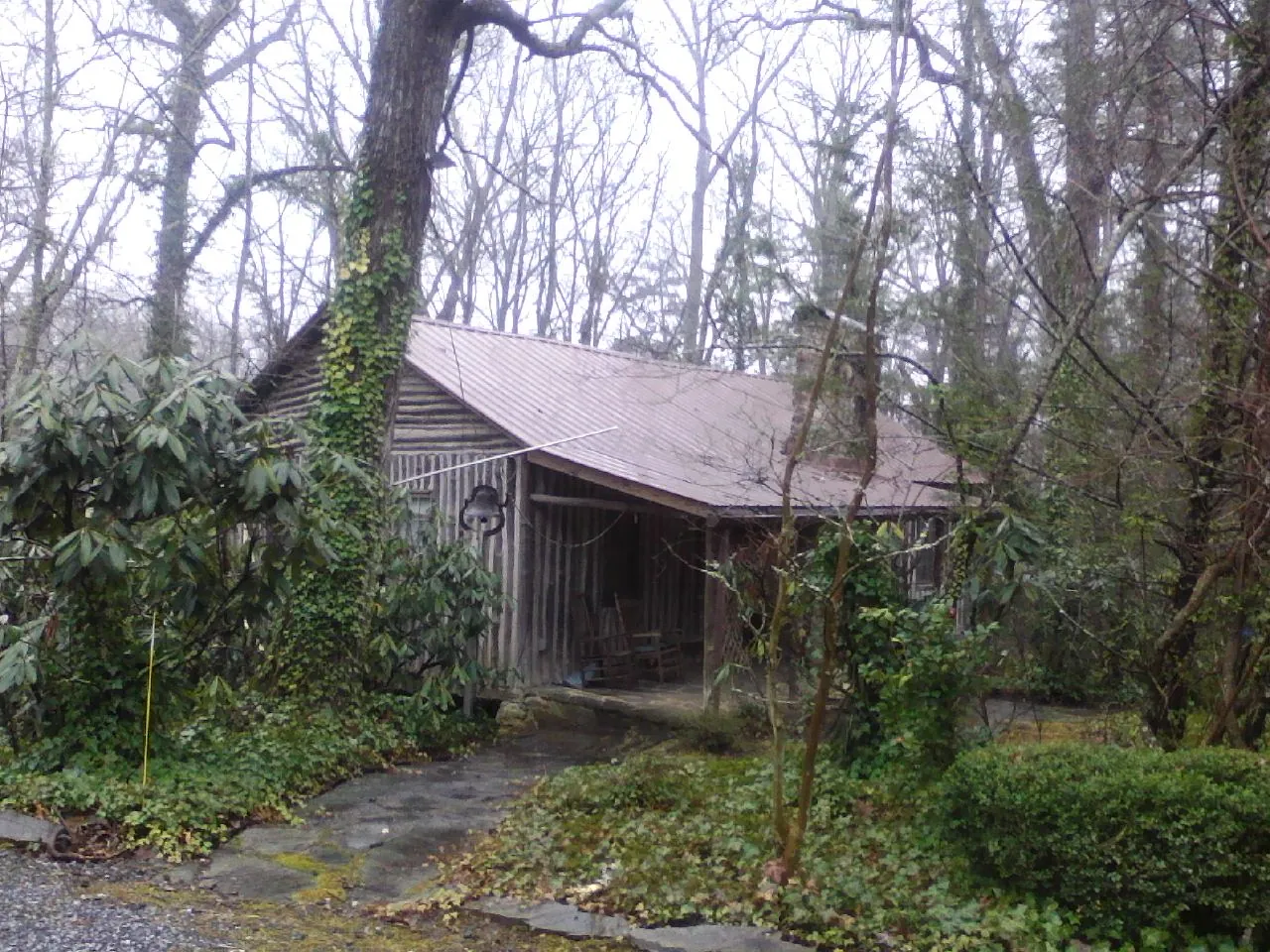 Weathered metal roof on an old board sided cabin in the woods in Girdletree